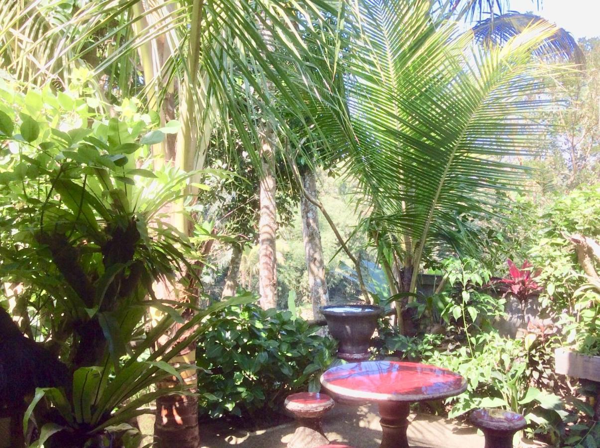 Rumah Irak Et Kadek Bali Ubud  Exterior photo